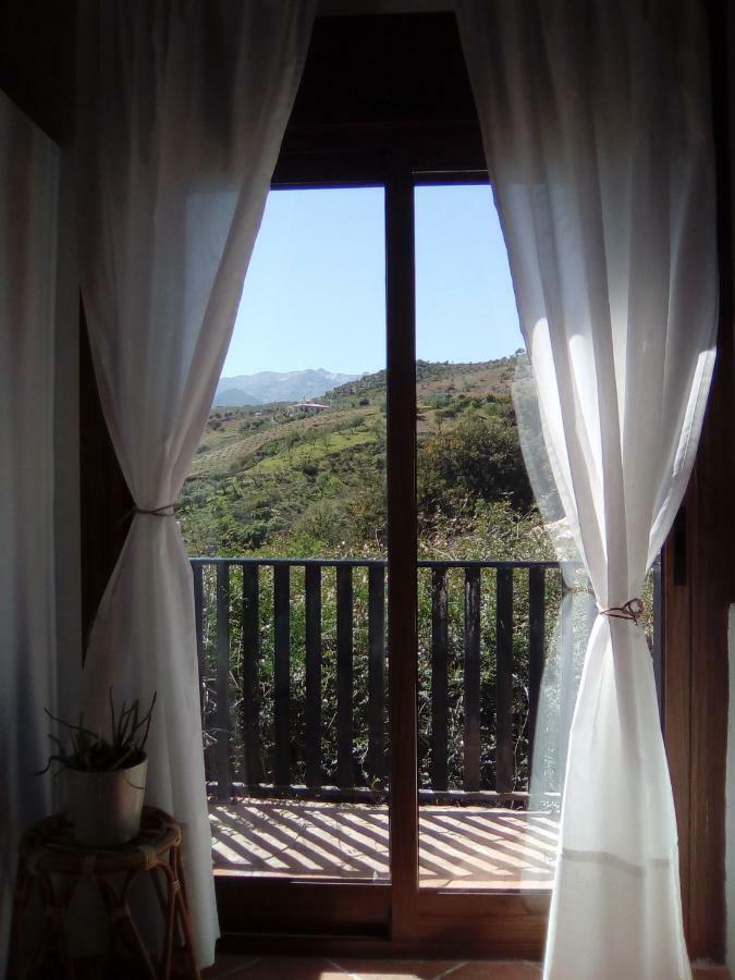 The African House Bed & Breakfast Толокс Екстериор снимка
